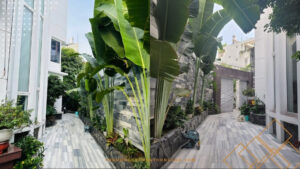 Bán Nhà Gò Vấp Biệt Thự Sang Trọng Hẻm 33 Đường Lê Hoàng Phái, Phường 17 - Diện Tích 10x16, Giá 19,9 tỷ
