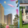 Eco Xuân Setia Gardens Residences Loại Studio ST