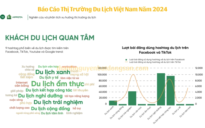 Báo Cáo Thị Trường Du Lịch Việt Nam Năm 2024