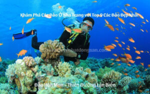 Khám Phá Các Đảo Ở Nha Trang với Top 9 Các Đảo Đẹp Nhất