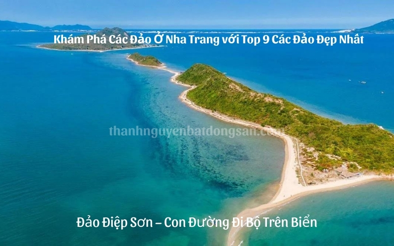 Khám Phá Các Đảo Ở Nha Trang với Top 9 Các Đảo Đẹp Nhất