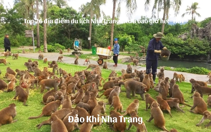 Top 26 địa điểm du lịch Nha Trang chưa bao giờ hết hot