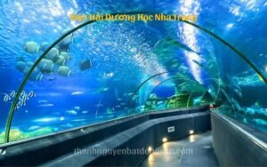 Viện Hải Dương Học Nha Trang