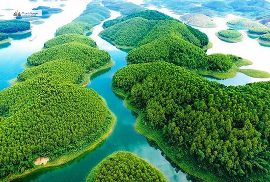 Đại gia Lê Phước Vũ giải thể công ty con nghìn tỷ 2 Đại gia Lê Phước Vũ dừng siêu dự án nghỉ dưỡng nghìn tỷ - 1