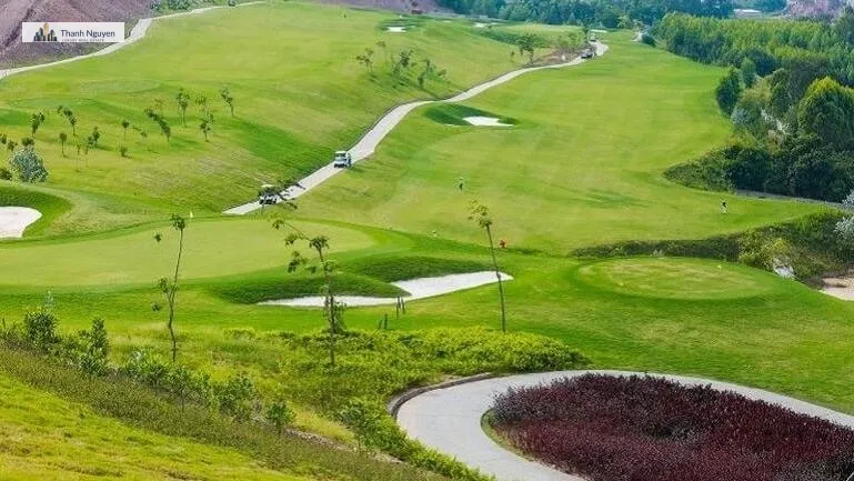 Phú Thọ: 70 Ha Rừng Thành Sân Golf Kỳ Sơn Gần 1000 Tỷ Đồng