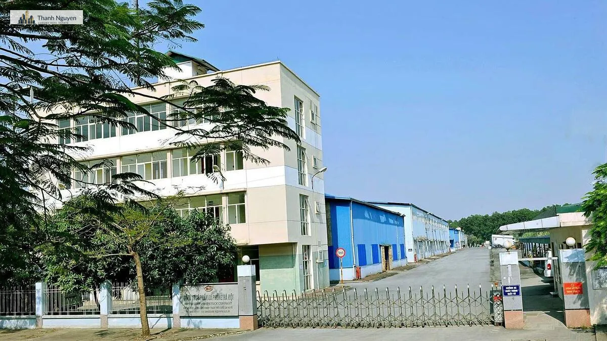 HASO Lần Đầu Lãi Trăm Tỷ Nhờ Cổ Tức “Khủng” Từ Vingroup