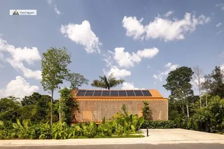 Ngôi Nhà Brazil Xuyên Cây Cọ: Kiến Trúc Xanh Giữa Lòng Rừng Amazon 2 Nhà vườn thiết kế để cây cọ xuyên giữa nhà