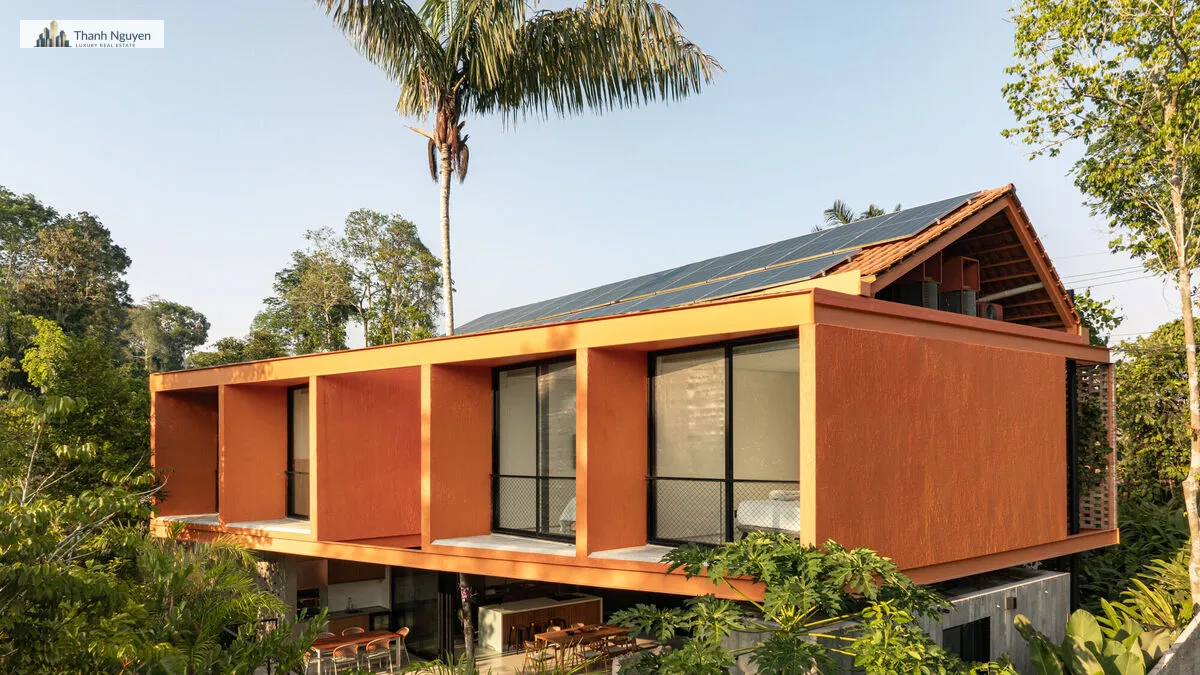 Ngôi Nhà Brazil Xuyên Cây Cọ: Kiến Trúc Xanh Giữa Lòng Rừng Amazon